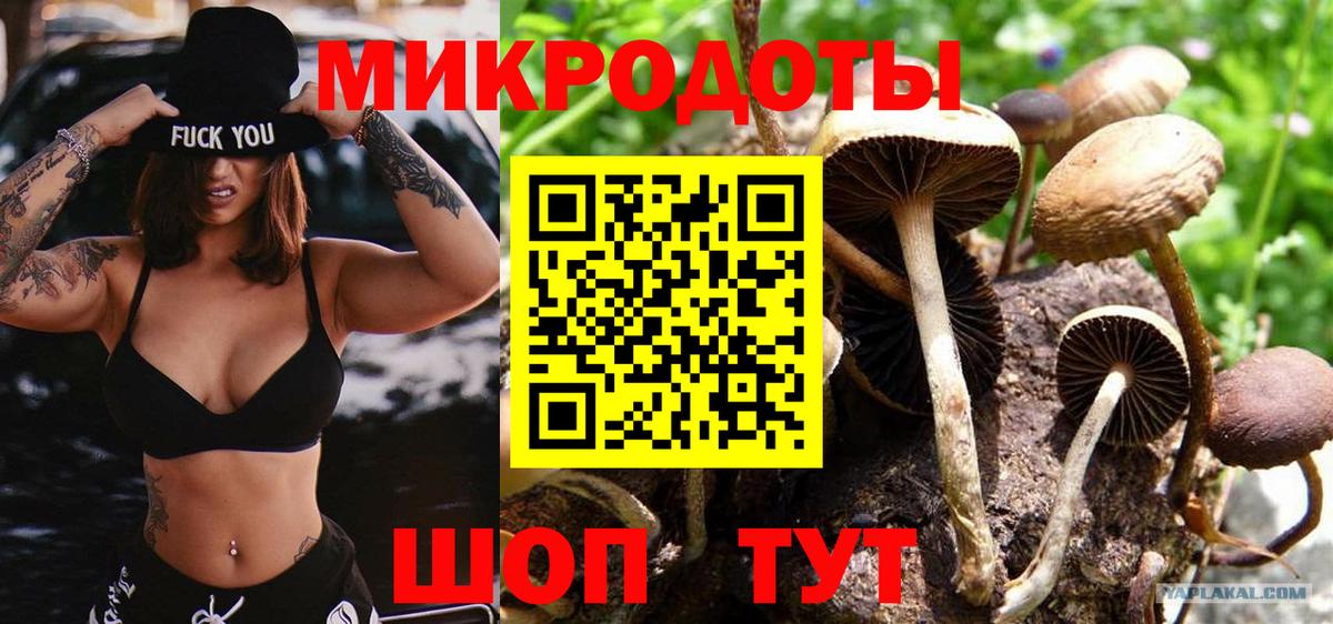Псилоцибиновые грибы MAGIC MUSHROOMS  Вход с VPN  Кузнецк 